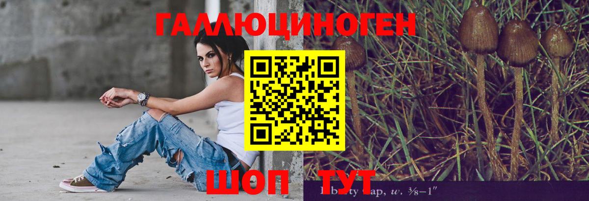 Псилоцибиновые грибы MAGIC MUSHROOMS  Вход с VPN  Славгород 